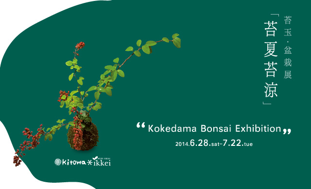 苔玉・盆栽展「苔夏苔涼」2014年6月28日～2014年7月22日 moss green ikkei × Kitowa