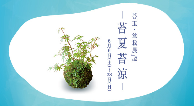 苔玉・盆栽展Vol.2「苔夏苔涼」2015年6月6日～2015年5月28日 moss green ikkei × Kitowa