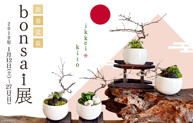 新春盆栽 bonsai展