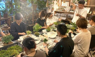 季節の盆栽・苔玉作り＋メンテナンス会